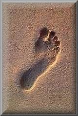 footprint