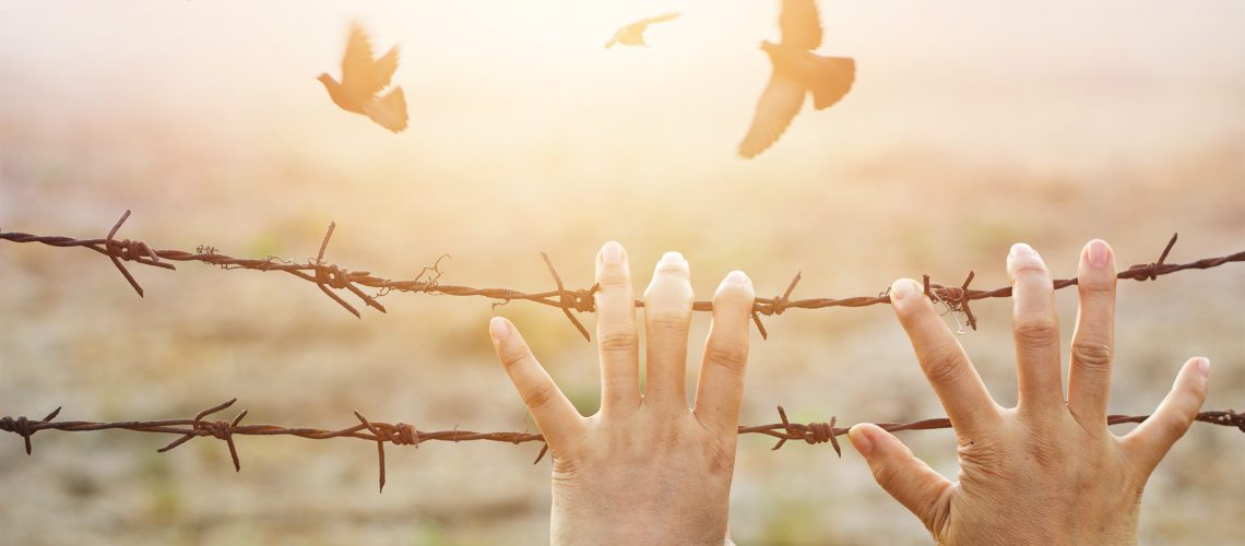 Woman hands hold the rusty sharp bare wire with hope longing for freedom among flying birds, Human rights concept